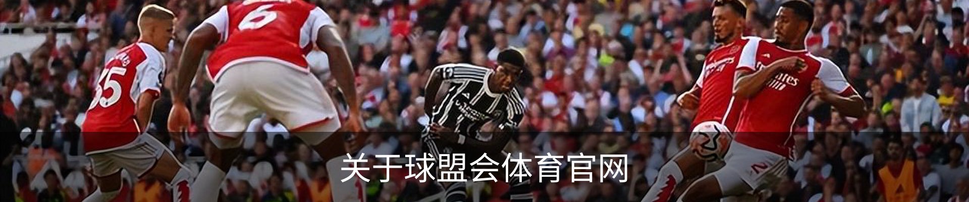 关于球盟会体育官网